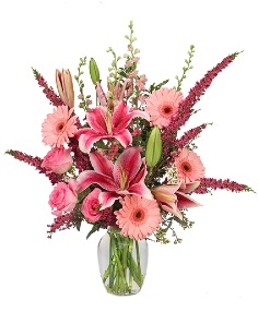 Category Image