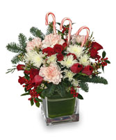 PEPPERMINT PLEASURES Christmas Bouquet