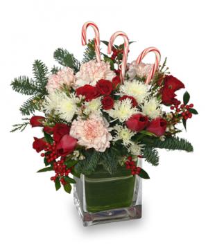 PEPPERMINT PLEASURES Christmas Bouquet