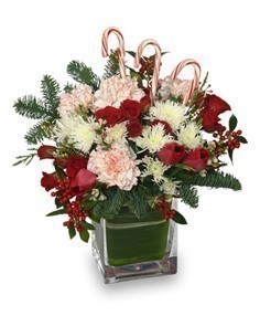 PEPPERMINT PLEASURES Christmas Bouquet in Haddam, CT | TOWN & COUNTRY FLORIST & NURSERY