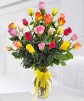 Designer Choice 2dz. Asst. Color Roses in Vase 