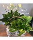 Purchase this funeral home arrangement