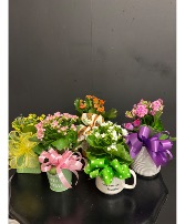 3" Blooming Plant Potted Plant