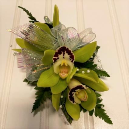 3 Cymbidium Orchid Corsage  available in green and white