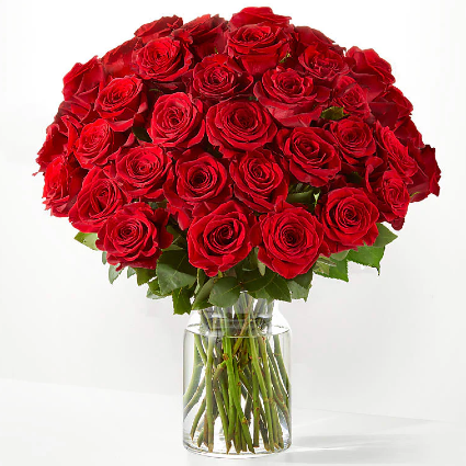 3 Dozen Long Stem Red Roses 