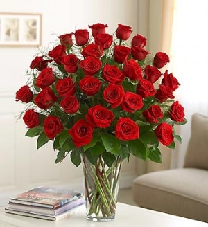 3 DOZEN RED ROSES 