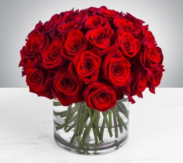 Three Dozen Red Roses  in Frederick, MD | Maryland Florals