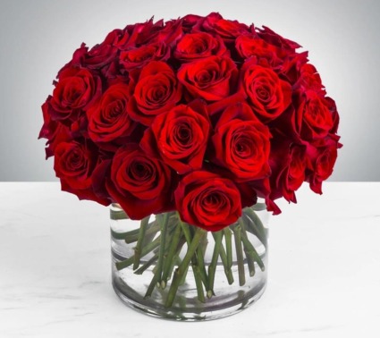 3 Dozen Regal Red Roses 