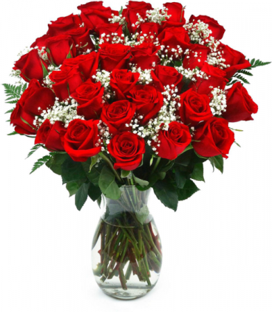 3 Dozen Roses Same-Day Delivery