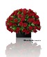 3 Dozen Roses  Valentine Day
