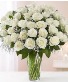 3 Dozen White Roses- arranged  