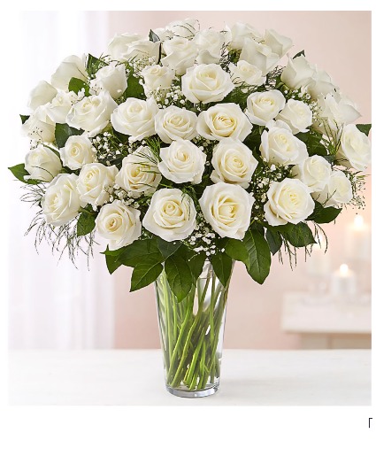 3 Dozen white roses Vase Arrangement 