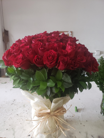 3 dz red rose vase 