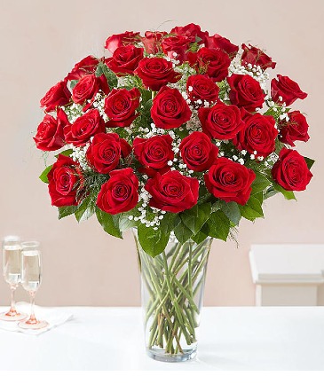 3 DZ RED ROSES  ARRANGEMENT  in Springfield, VT | WOODBURY FLORIST