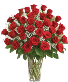 36 Red Roses with Babies Breath fresh floral