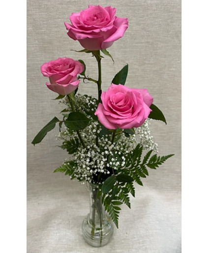 3 Light Pink Roses