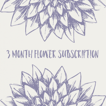 3 Month Flower Subscription