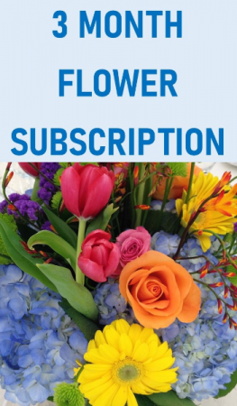 3 Month Flower Subscription Service in Coral Springs, FL | DARBY'S FLORIST 3 Month Flower Subscription Service in Coral Springs, FL | DARBY'S FLORIST