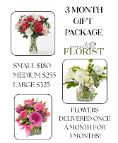 3 Month Gift Package 