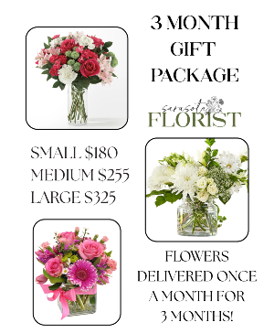 3 Month Gift Package 