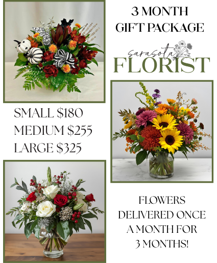 3 Month Gift Package 