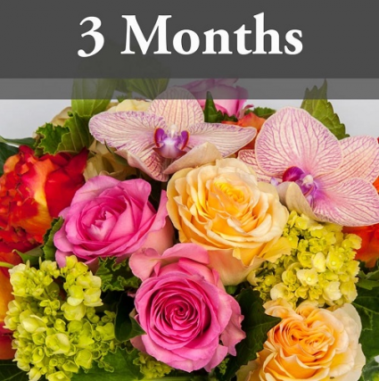 3 Months of Fresh Cut Flowers Bouquet