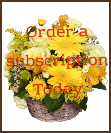 3 months subscription Smaller bedside or desk top arrangement