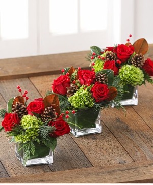 3 piece Christmas trio  