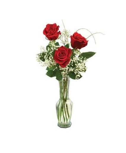 3 Red Roses with babies breath in a glass vase 