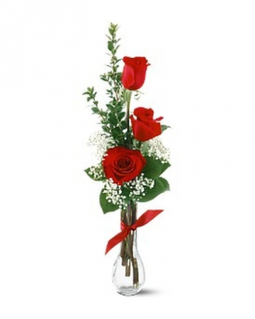3 rose bud vase roses