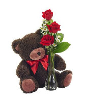 3 Roses and a Teddy Bear Flowers and Plush 