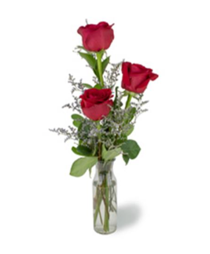 3 roses in vase 