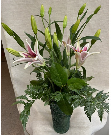 Stargazer Lilies - 3 Stems $25 Option