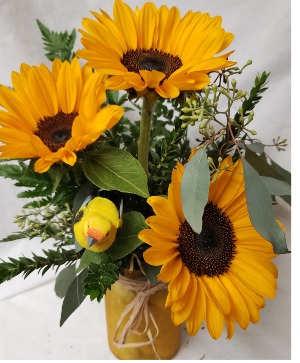 3 Sunflowers in a colored vase with filler And a bird pic!