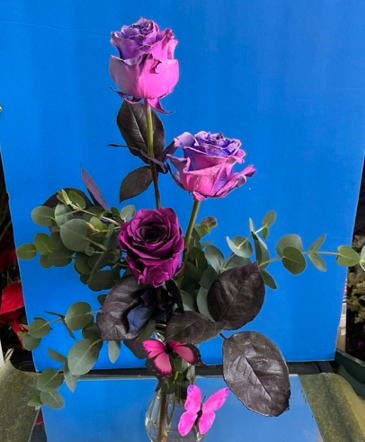 3 Sweet Roses  Vase in Williams Lake, BC | WILLIAMS LAKE FLORIST At Kit & Kaboodle