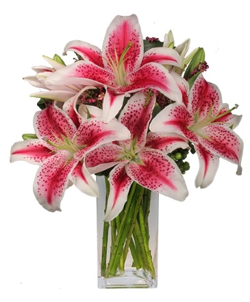 Luxurious Lilies Bouquet in Farmville, VA | Rochette's Florist