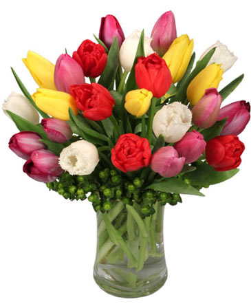 Tip Top Tulips Bouquet in Selma, NC | Selma Florist