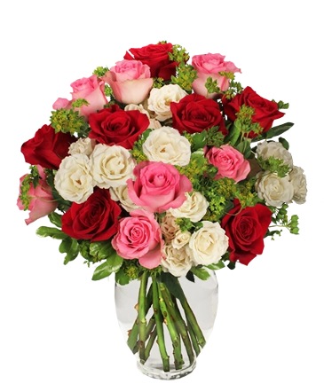 Romance of Roses Petite Spray Roses in Dallas, TX | Paula's Everyday Petals & More