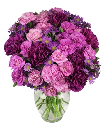 Dark Purple Carnation Bouquet