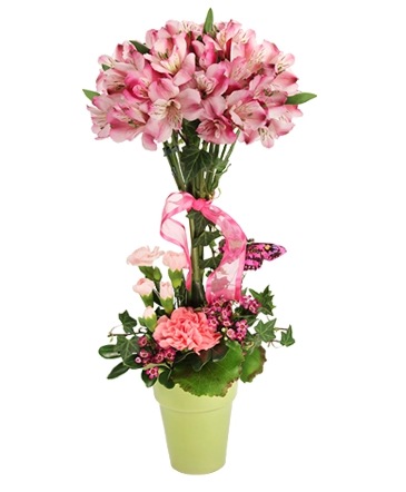 Petal Pink Topiary Bouquet in Santa Clarita, CA | Rainbow Garden And Gifts