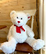 34" Cuddly Bear Powell Florist Valentine's Day Exclusive