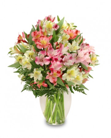 Alluring Alstroemeria Arrangement