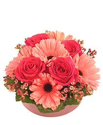 Bashful Blossoms Arrangement