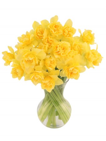 First Sign of Spring Daffodils Bouquet in Owensboro, KY | Ivy Trellis Floral