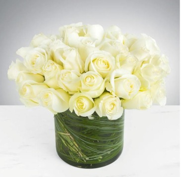 36 Classic white Roses  in Frederick, MD | Maryland Florals