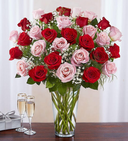 36 LONG STEM PINK AND RED ROSES  