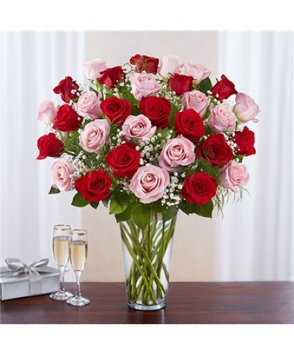 36 Long Stem Pink & Red Roses 