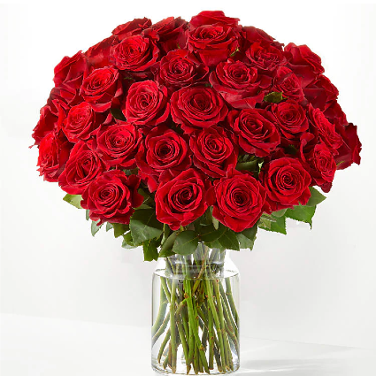 36 Long Stem Red Roses 
