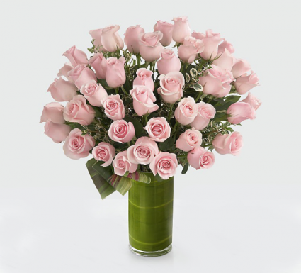 36 pink rose