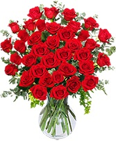 36 Ravishing Roses Red Rose Arrangement